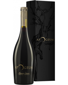 Apogeum Feteasca Neagra Cutie 2020 | Dealu Mare | Valahorum